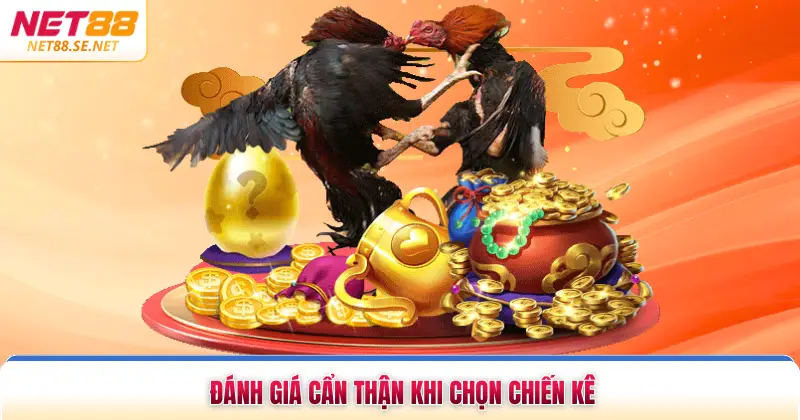 Đánh giá tổng thể sức khỏe khi chọn chiến kê